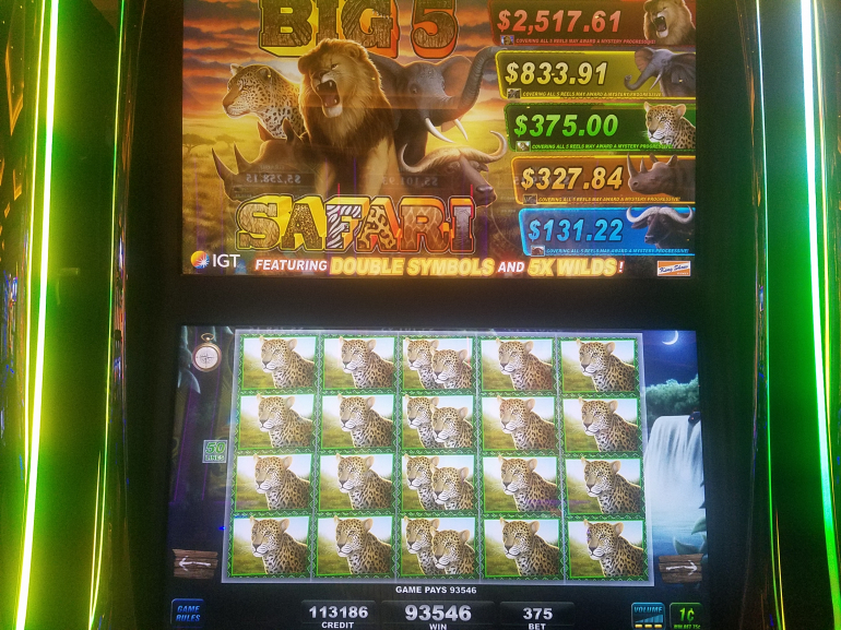 Multiple JACKPOTS !! Amazing ! Rich Little Piggies Slot 🤑 